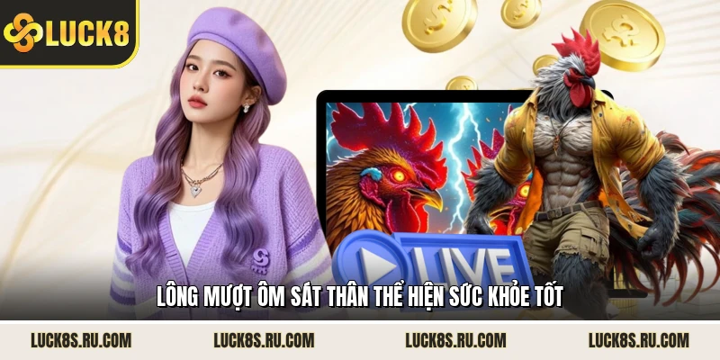 Lông mượt ôm sát thân thể hiện sức khỏe tốt