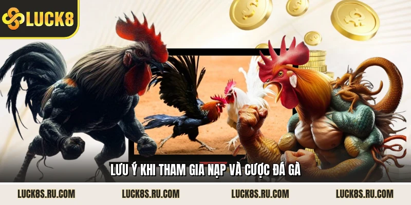 Lưu ý khi tham gia nạp và cược đá gà
